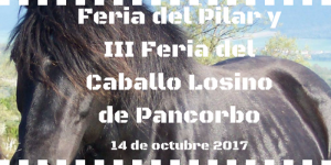Feria del Caballo Losino en Pancorbo el 14 de octubre 2017