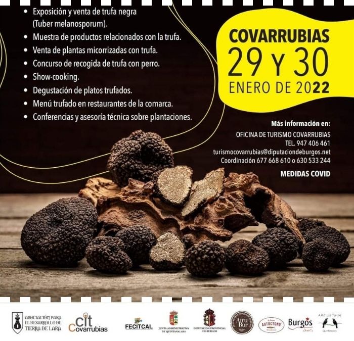 Los días 29 y 30 de enero de 2022, en Covarrubias, VII edición de la Feria de la Trufa Negra.